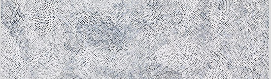 [Texte] Sébastien Ecorce, Punctum (extraits)