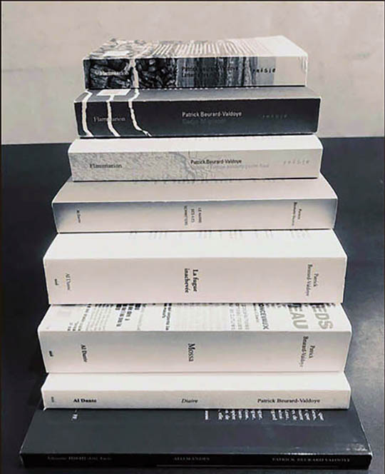 [Chronique] Jean-Pascal Dubost, Lettre à Patrick Beurard-Valdoye à propos de Lamenta des murs