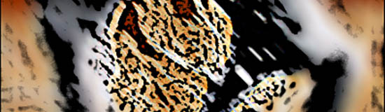 [Création] Daniel Cabanis, Optique de la fuite en avant (6/6)