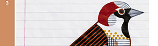 [CHRONIQUE] Valérie Rouzeau, Vrouz, par CHRISTOPHE STOLOWICKI