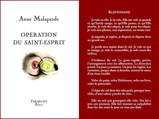 [Chronique] Jean-Pascal Dubost, Lettre à Anne Malaprade à propos d’Opération du Saint-Esprit