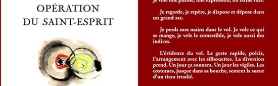 [Chronique] Jean-Pascal Dubost, Lettre à Anne Malaprade à propos d’Opération du Saint-Esprit