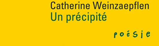 [Chronique] Carole Darricarrère, Une lecture mot à maux (à propos de Catherine Weinzaepflen, Un précipité)