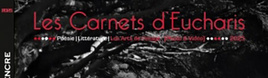 [Chronique] Les carnets d’Eucharis, sur les routes du monde – Volume IV, par Pascal Boulanger